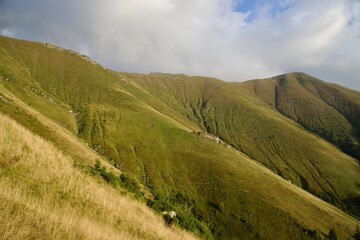 Naklejka premium landscape with mountains, Piscul Negru Ridge, Fagaras Mountains, Romania