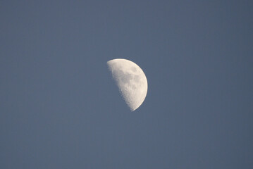 First Quarter Moon Phase
