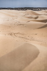 Sand dunes in the Senek desert in the Kazakh desert, sand texture in the desert