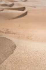 Sand dunes in the Senek desert in the Kazakh desert, sand texture in the desert