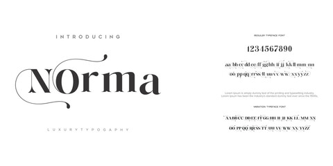 Norma alphabet letters logos font with tails. Typography elegant oriental luxury classic serif fonts and number decorative vintage retro for logo branding. vector illustration