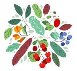Wild berries fresh and ripe tasty healthy food with leaves vector flat style illustration isolated over white, delicious vegetation diet eating, nature gifts.