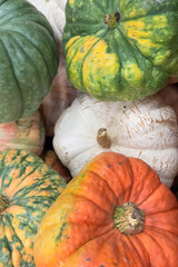 Close up view of colorful pumpkins harvest up for sale.