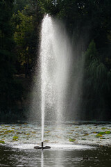 An Artesian Fountain is Throwing a Beautiful Veil of Water Droplets onto the Lake Surface