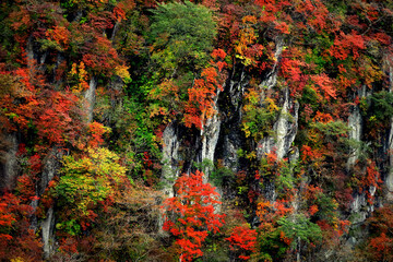 Autumn leaves in Japan, scenery of mountains in Nikko like a painting	