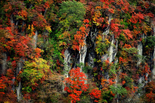 Autumn leaves in Japan, scenery of mountains in Nikko like a painting	