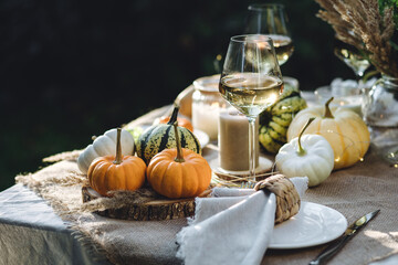 Beautiful elegant thanksgiving dinner table decor rustic style with little pumpkins, candles, dry...