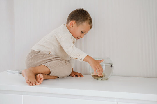 Boy looking at fish tank. Cute little boy feeding fish in aquarium on the table at home