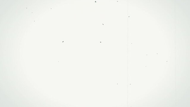 Old Expired Black Film Dust Dirt Scratches 4K Video Overlay Background Loop