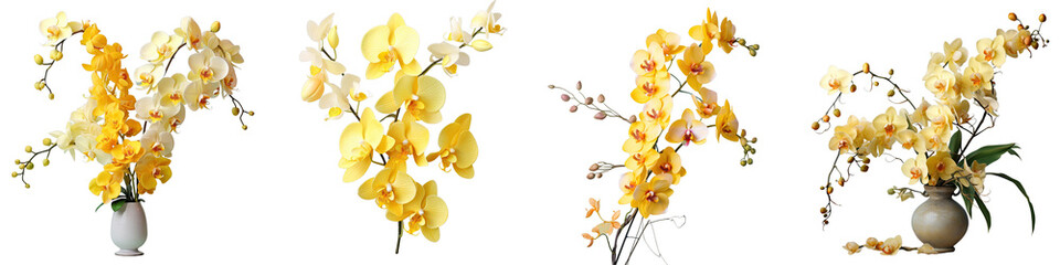 Png Set Arrangement of yellow orchids transparent background