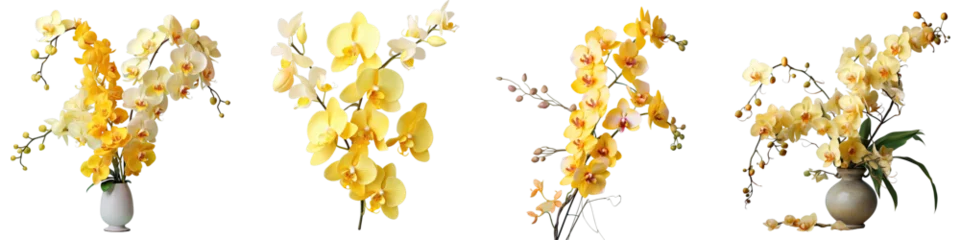 Gordijnen Png Set Arrangement of yellow orchids transparent background © 2rogan