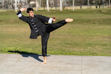 Young man practicing Kung Fu in the park
