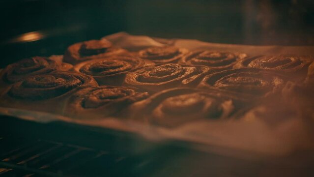 Cinnamon buns bake and rise on a baking tray in an electric oven at home. Home bakery, food, cooking, confectionery and. High quality 4k footage