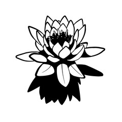 Flowers, Blossoms, Garden, Bouquet, Petals, Floral arrangement, Botanical, Pollination, Blooms, Fragrance