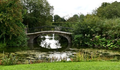 Bridge in park 
