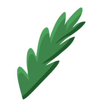 Cartoon style pine or fir branch silhouette, winter holidays design element, vector