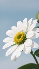 Naklejka premium Exquisite Macro Shots of Flowers