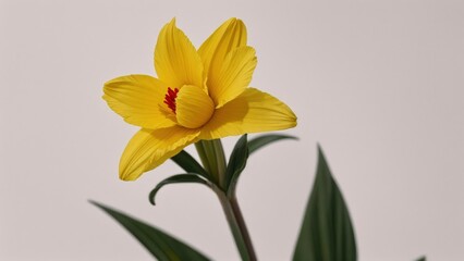 Fototapeta premium Macro Photography of Flowers