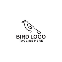line art colibri logo humming bird vector, label, badge, illustration design