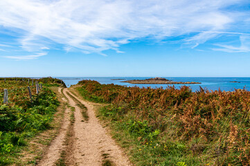 Fototapeta na wymiar Coastal Beauty in Brittany: Tregastel Summer Hike