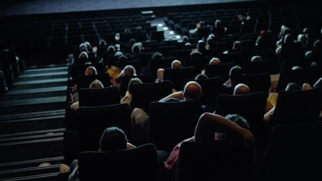 Audience in a cinema watching a movie - movie theater performance