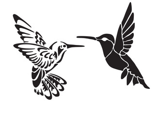 Hummingbird with flying wings. Black and white vector illustration.