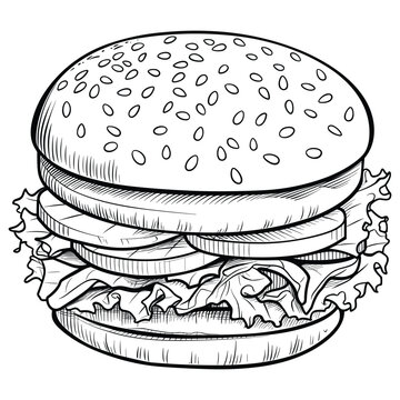 Burger Coloring Book Pages For Kids, Burger Outline Vector