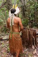 Tupinamb&aacute; Indian with typical clothing extracting piassava from the forest