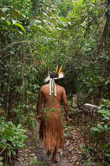 Brazilian Tupinambá Indian with typical clothing walking in the tropical forest - 648734353