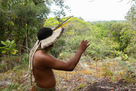 Brazilian Tupinambá Indian with typical clothing walking in the tropical forest