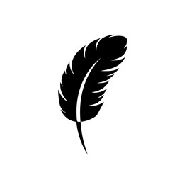 feather logo