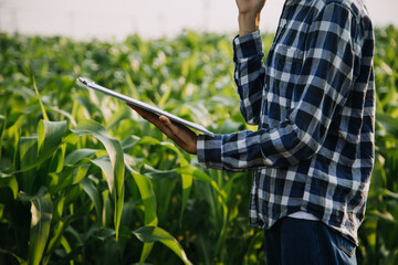 Agriculturist utilize the core data network in the Internet from the mobile to validate, test, and select the new crop method. Young farmers and tobacco farming