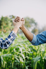 Agriculturist utilize the core data network in the Internet from the mobile to validate, test, and select the new crop method. Young farmers and tobacco farming