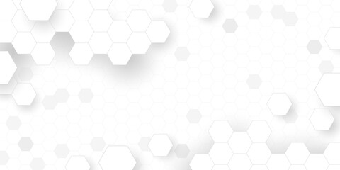 Abstract white hexagon background with copy space Vector illustration
