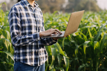 Agriculturist utilize the core data network in the Internet from the mobile to validate, test, and select the new crop method. Young farmers and tobacco farming