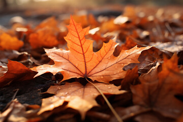 Naklejka na ściany i meble Close Up of Orange Fall Leaves on the Ground, Blurred Background, Generative AI