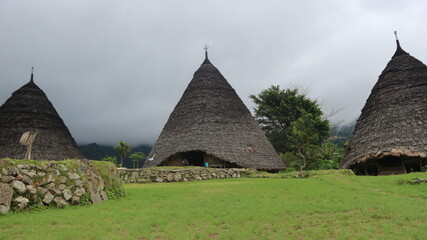 wae rebo villange at flores island