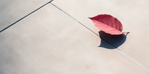 A leaf on a paving surface with copy space background