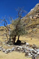 Huancayo - Per&uacute;