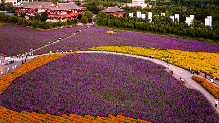 Landscape of Flower Sea in North Lake, Changchun, China