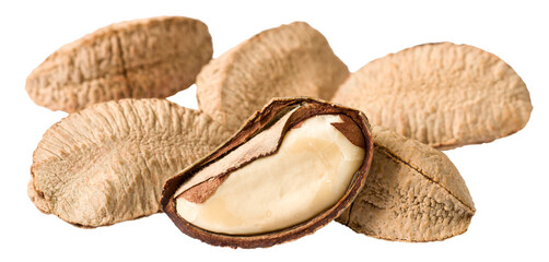 Group of brazil nuts isolated on white background.