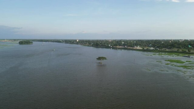 Aerial drone shot of a river, a tree standing alone in the middle of the water, a tree standing in the middle of Titas river in Brahmanbaria, Titas river full of water during monsoon season