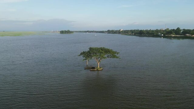 A drone shot from above a river, a tree in the water around it, the drone hovering over a tree standing in the middle of the river, a small river full of monsoon water