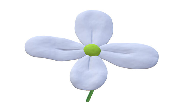 3D White Daisy Flower from 3 view each image made with nomad sculpt