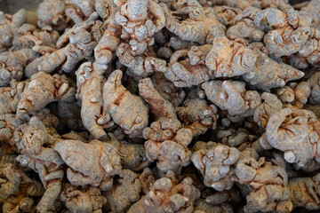 Closeup of Dried Panax notoginseng roots texture backgrouond.