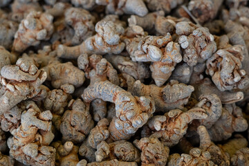 Closeup of Dried Panax notoginseng roots texture backgrouond.