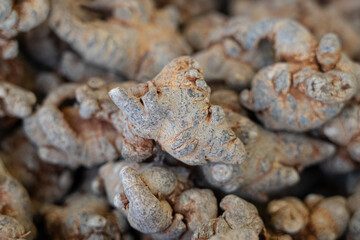 Closeup of Dried Panax notoginseng roots texture backgrouond.