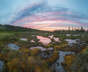 a beautiful sunset in the swamp