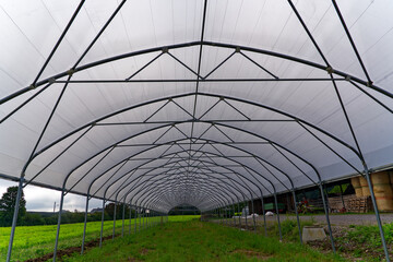Construction of greenhouse at farm at City of Zürich on a sunny late summer afternoon. Photo taken September 15th, 2023, Zurich, Switzerland.