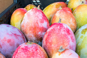 Spanish Mango: A Taste of Paradise.